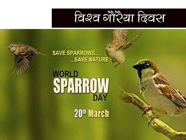 World Sparrow Day 2022 in Hindi | विश्व गौरैया दिवस कब और क्यों मनाया जाता है
