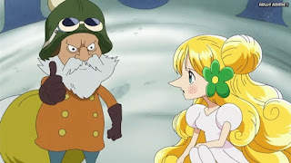 ワンピースアニメ ドレスローザ編 742話 マウジイ マンシェリー姫 | ONE PIECE Episode 742