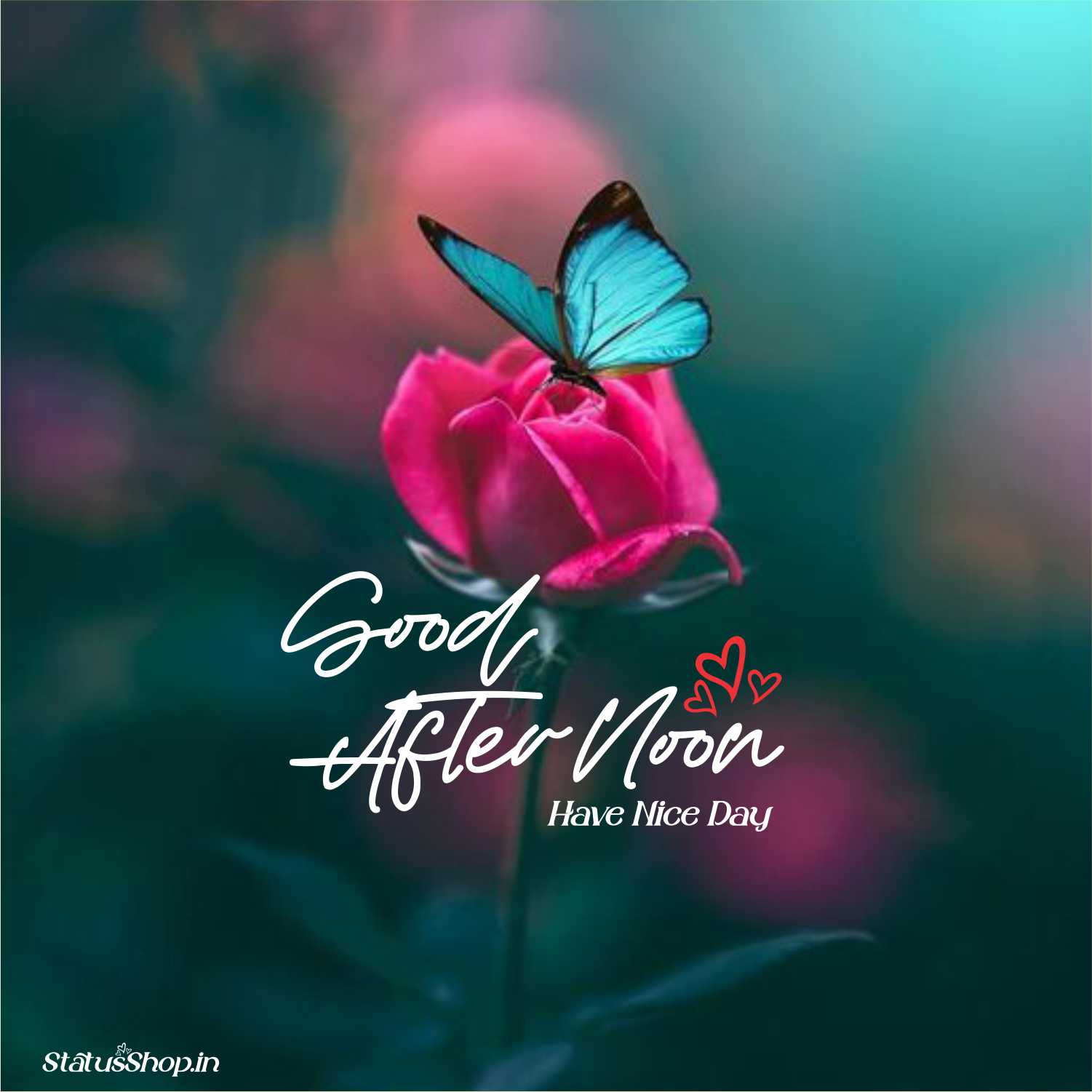 New Good Afternoon Images New-Good-Afternoon-Images