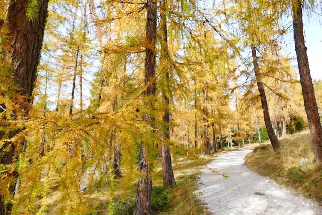 rifugio mietres rio gere