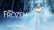 MEDIA REVIEW: Frozen on Disney+