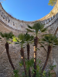 Villa Rufolo - Hall of the Knights with palms - Ravello.