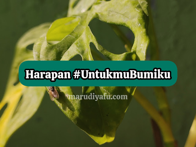 Harapan #UntukmuBumiku