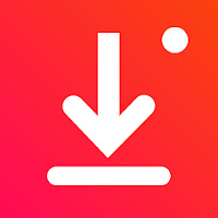 Video Downloader - Story Saver