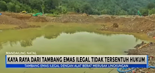 Tambang Emas Ilegal Yang Tidak Tersentuh Oleh Hukum