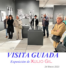 Visita Guiada Xulio Gil