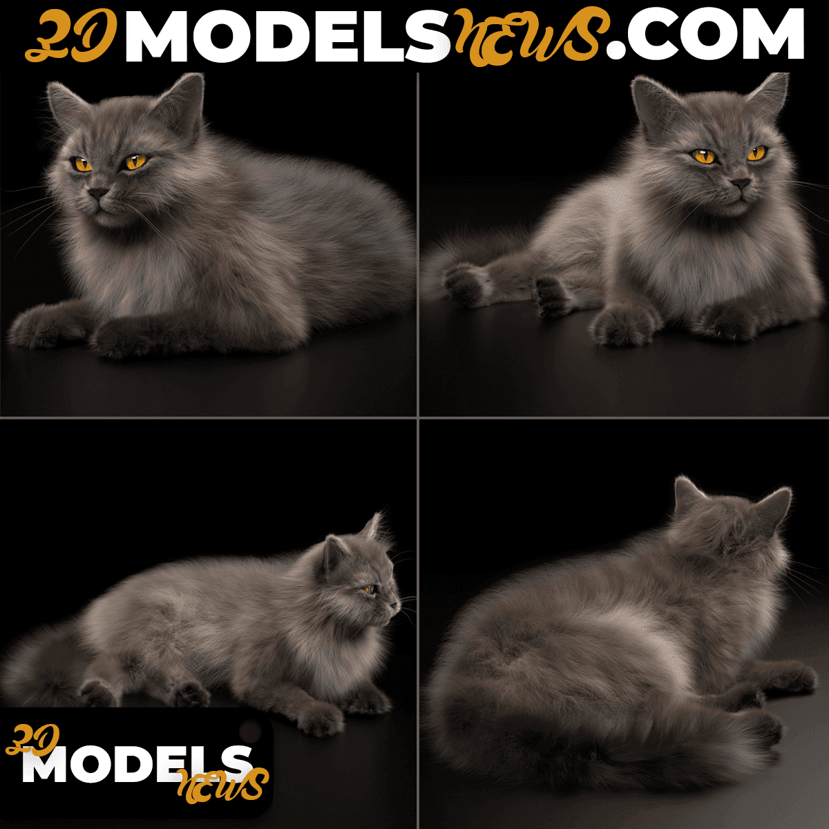 Sitting Cat Model 3