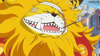 ワンピースアニメ ゾウ編 768話 ネコマムシ | ONE PIECE Episode 768