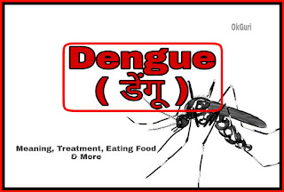 dengue fever symptoms