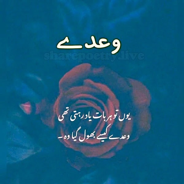 Heart broken Urdu Sad Poetry SMS and Pic