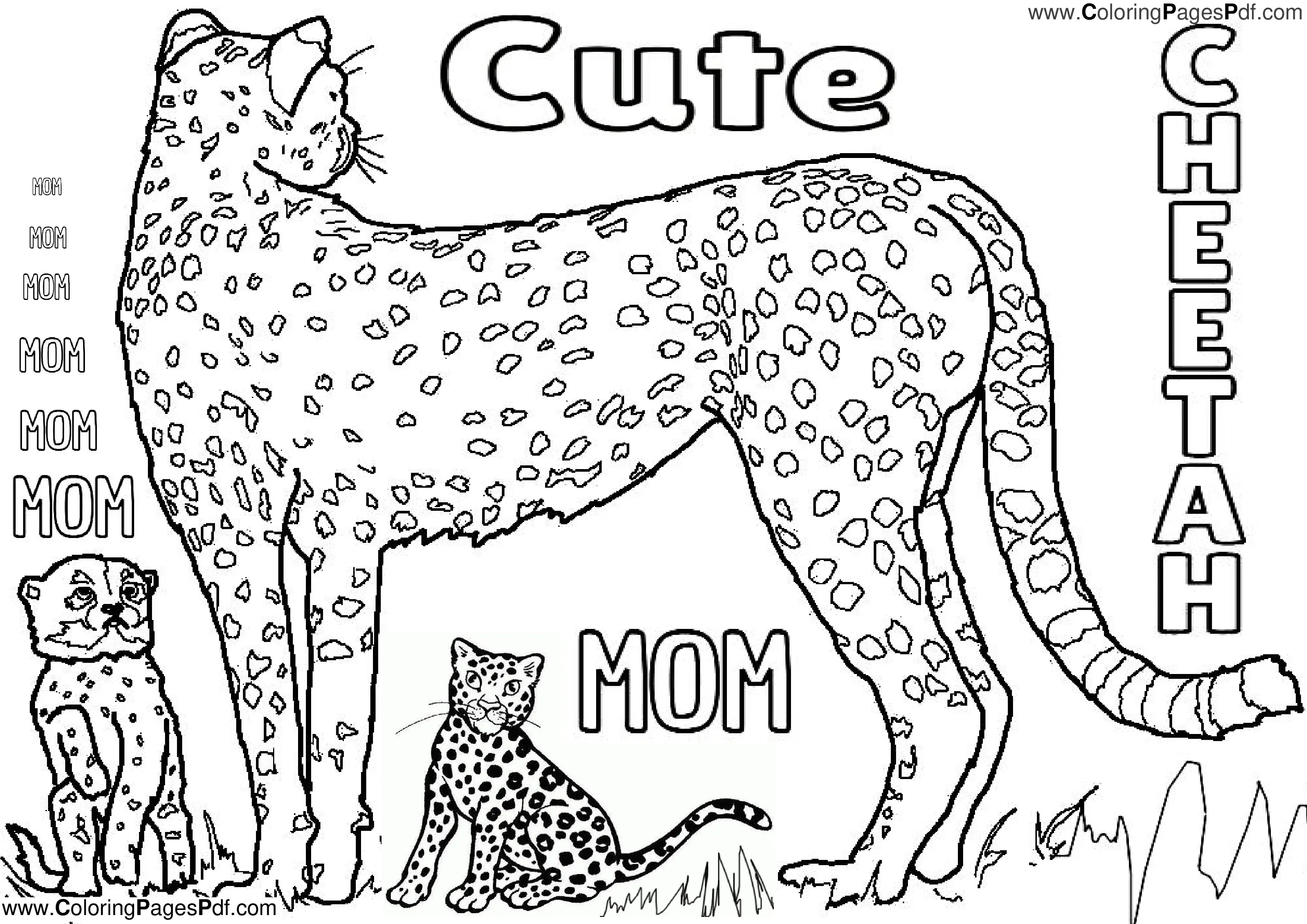 Cheetah coloring pages cute