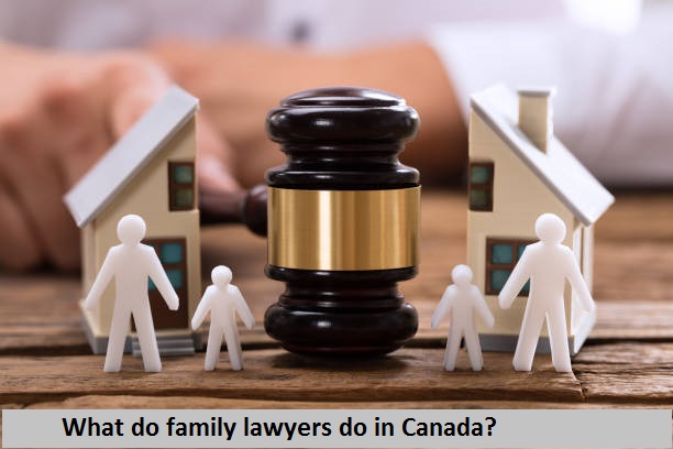 What do family lawyers do in Canada?