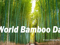 இன்று உலக மூங்கில் தினம் World Bamboo Day