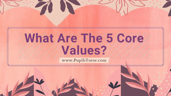 What Are Core Values? | Briefly Explain 5 Important Types Of Core Values - Truth, Peace, Love, Righteous Conduct, Non-Violence | Types Of Core Values - pupilstutor.com