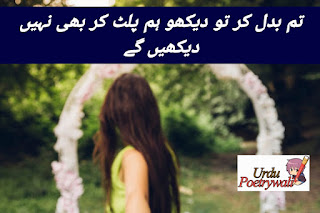 Two or 2 line Urdu poetry