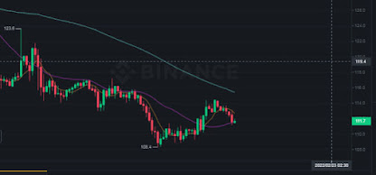 Litecoin price awaits volatility