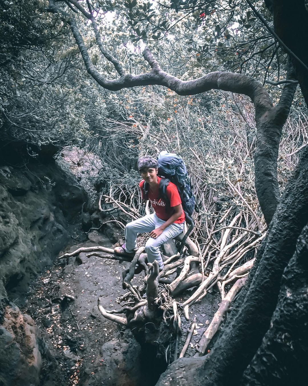 Taman Nasional Kerinci Seblat