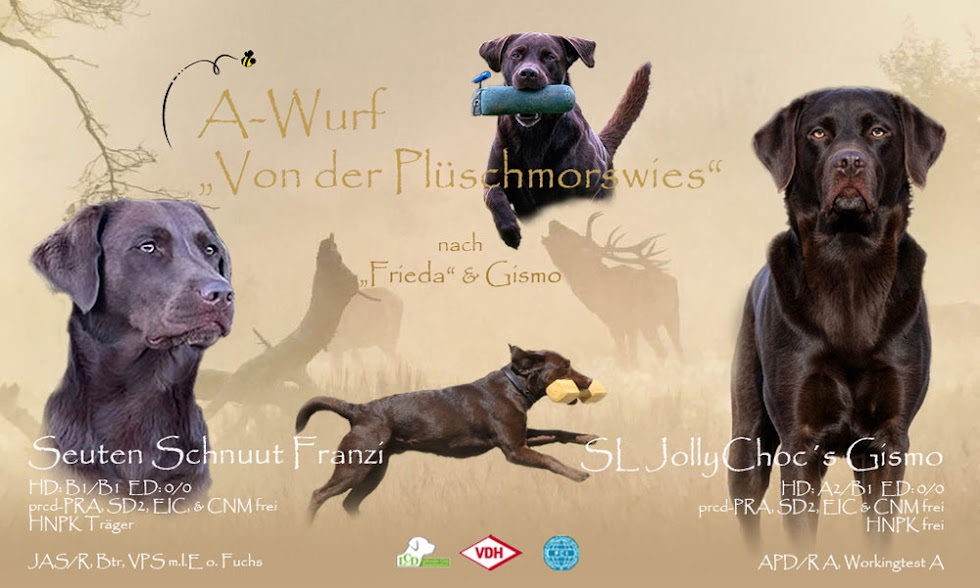 A-Wurf