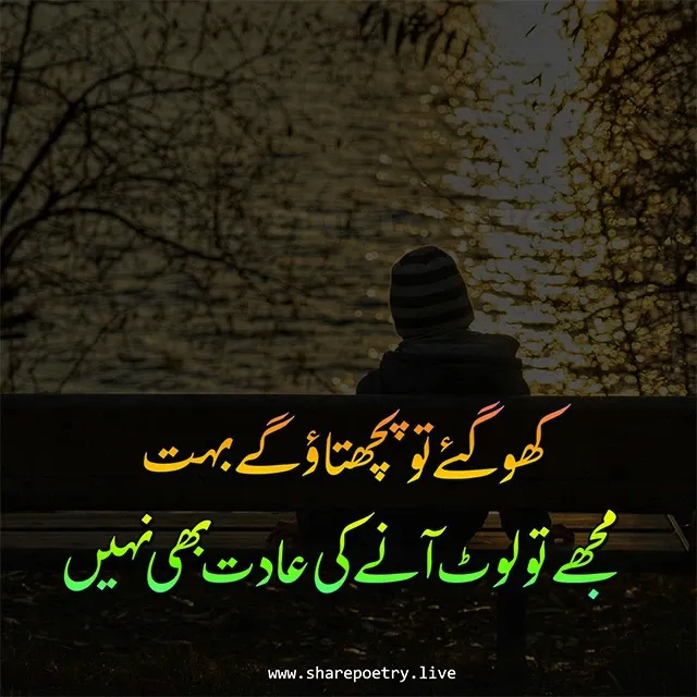 Best Sad Poetry in Urdu Text Copy-paste 2024