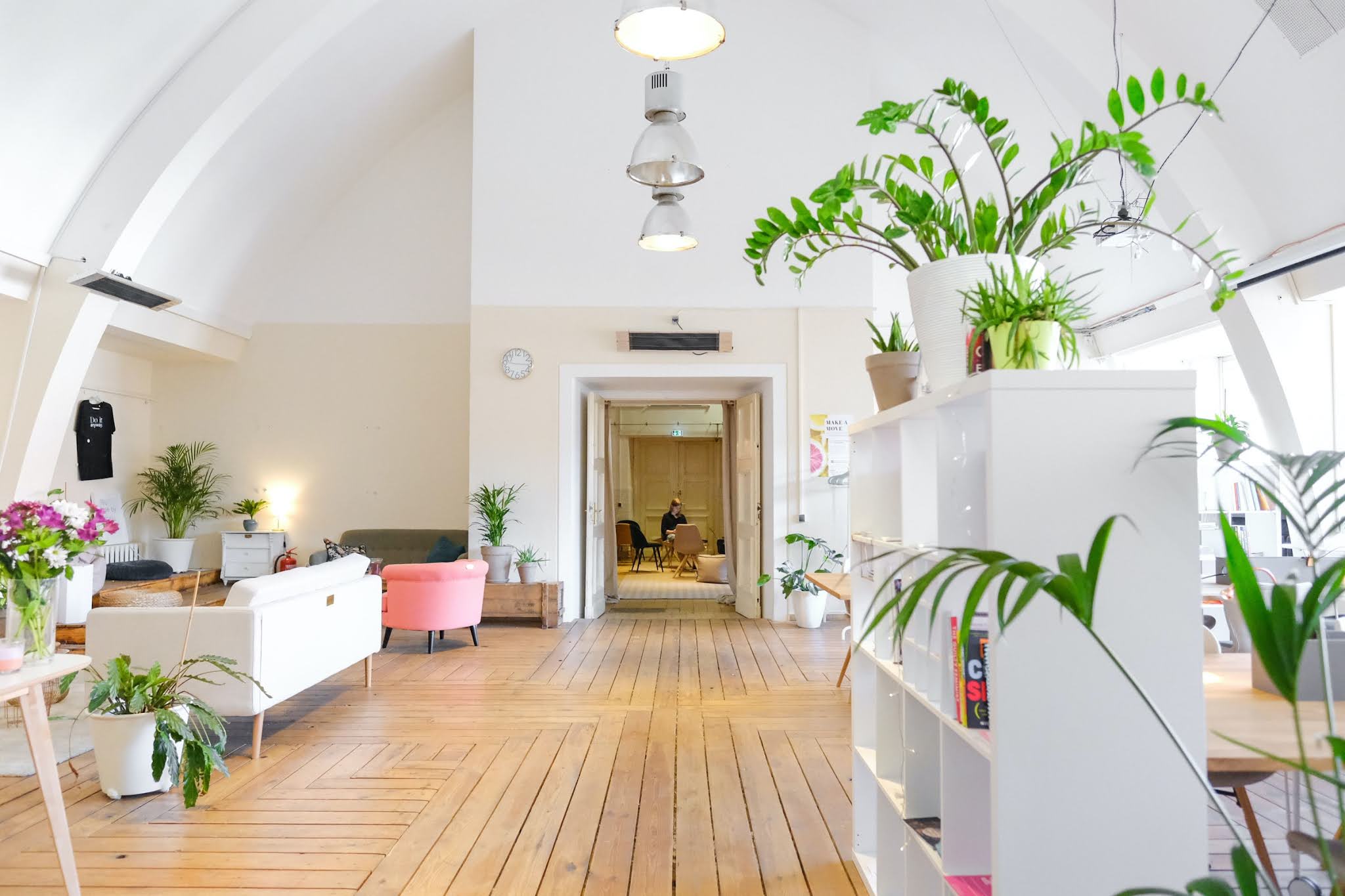 Indoor Plants in a house