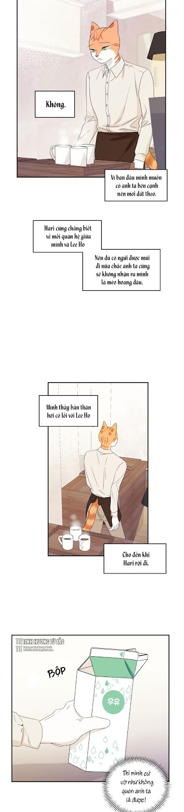 Dự Án Xanh Chapter 11 - Trang 12
