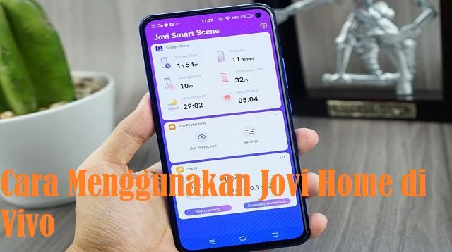 Cara Menggunakan Jovi Home di Vivo