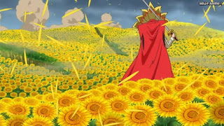 ワンピースアニメ ドレスローザ編 716話 ディアマンテ Diamante | ONE PIECE Episode 716