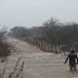 Março está melhor! Apenas três municípios do regional de Patos não registraram chuvas nas últimas vinte e quatro horas.Confira seu município