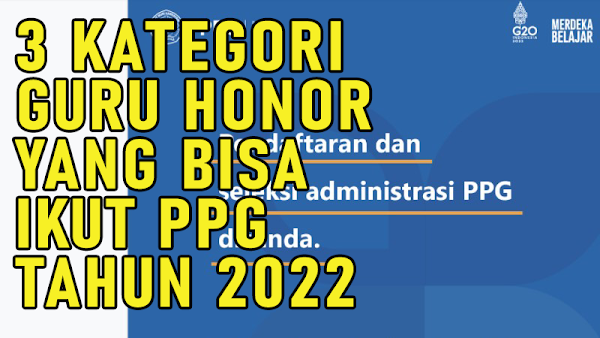 3 Kategori Guru Honorer Yang Bisa Ikut PPG 2022