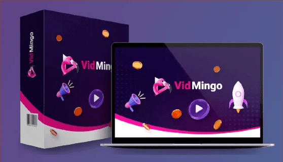 What is vidmingo