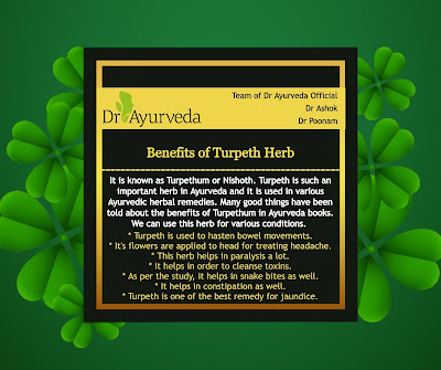 Benefits of Turpeth herb by Dr Ayurveda