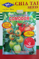 jual benih tomat, tomat, comodor f1, harga murah, manfaat tomat, cara menanam tomat, toko pertanian, toko online, lmga agro