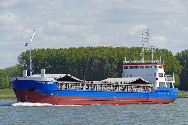 BALTIC SKIPPER