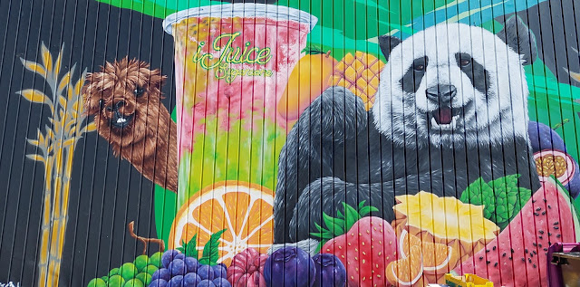 Lansvale Street Art | ijuice Mural by Dot Matrix Design