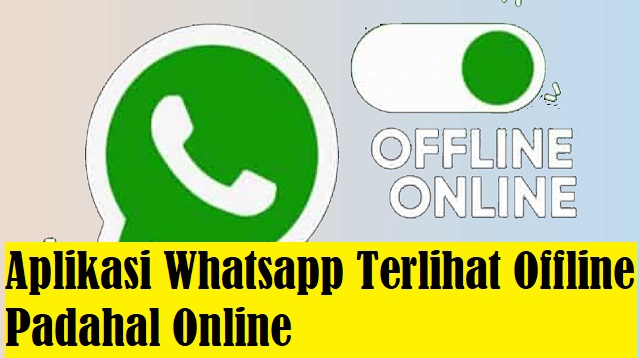 Aplikasi Whatsapp Terlihat Offline Padahal Online