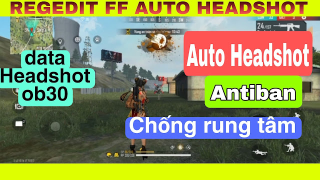 REGEDIT FF AUTO HEADSHOT OB30