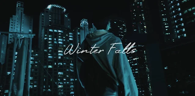 Stray Kids Winter Falls