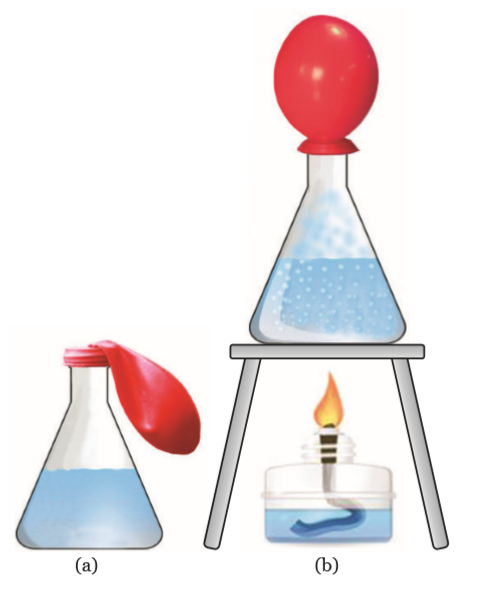 Gambar (a) Kondisi Balon Karet pada Erlenmeyer yang Berisi Air Dingin, (b) Kondisi Balon Karet pada Erlenmeyer yang Berisi Air Panas