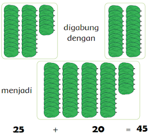 Banyaknya buah kedondong sebanyak 45 buah www.simplenews.me