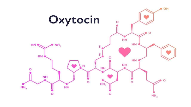 OXITOCINA Y BIENESTAR