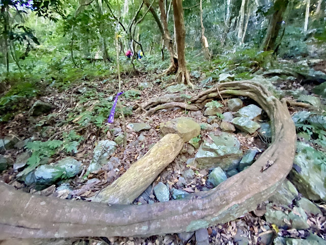 往百川山