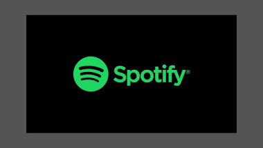 Exploring Spotify Pie Charts: What They Are and How to Make Your Own