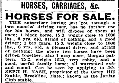 Horses and carriages for sale