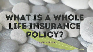 What is a whole life insurance policy?