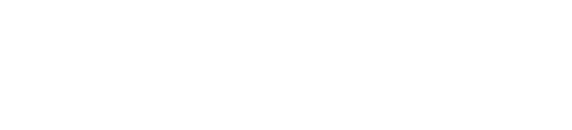 E-infology