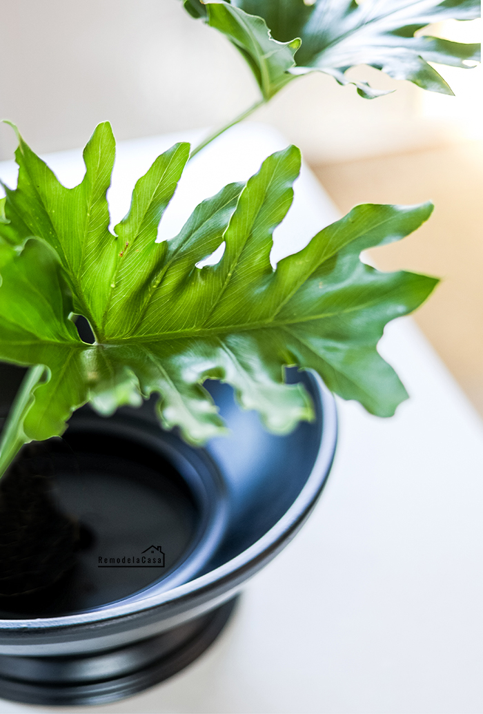 how to make a big, solid black pedestal bowl