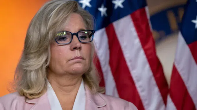 RINO Liz Cheney Officially Kicked Out of Wyoming Republican Party