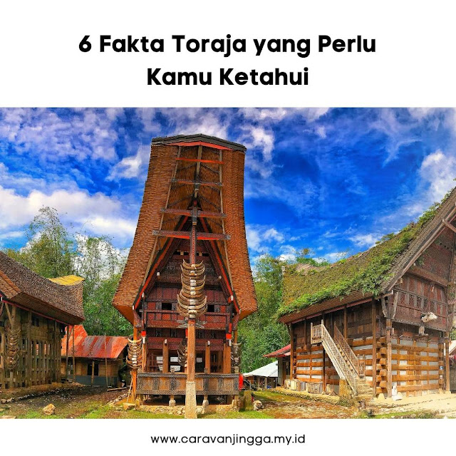 fakta toraja