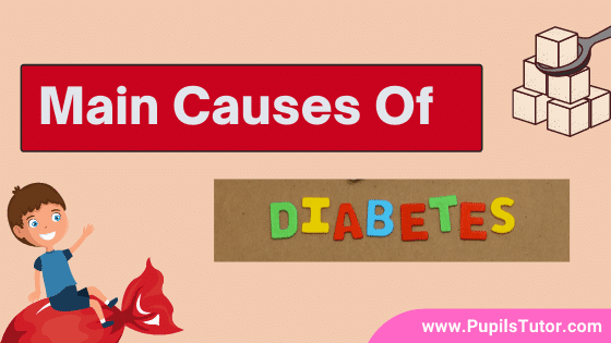 Lets Discuss What Is Diabetes, What Are The Leading Causes Of Diabetes In Detail And What Are 4 Complications Of Diabetes? | 2 Main Types Of Diabetes - www.pupilstutor.com