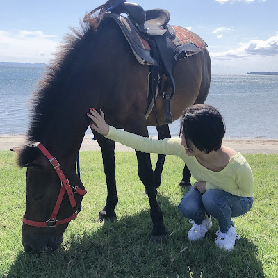 海岸で草を食む馬